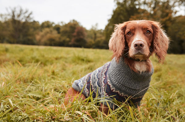 THE BARBOUR DOGS COLLECTION FOR PET LOVERS