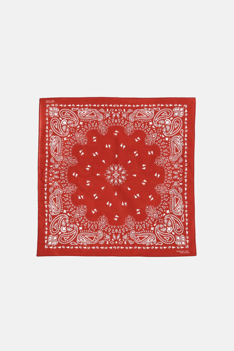 Pasley Bandana