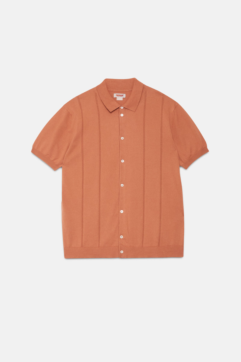 Polo Horatio