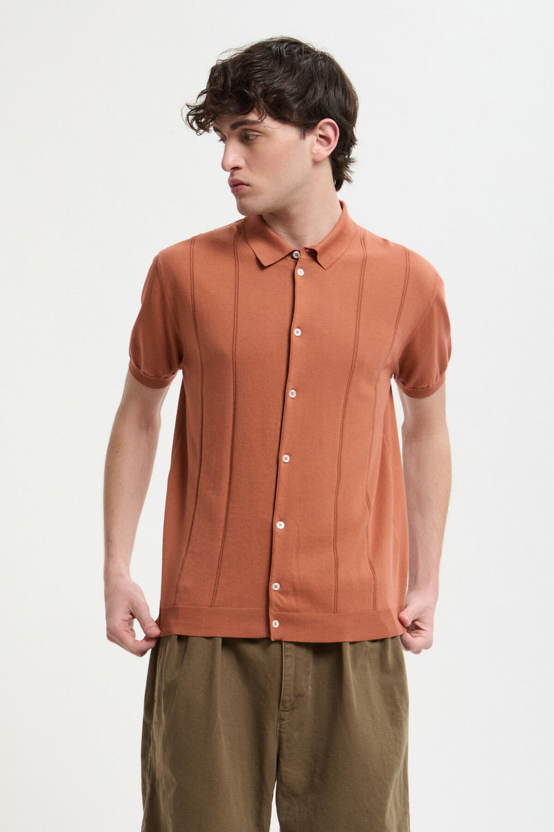 Polo Horatio