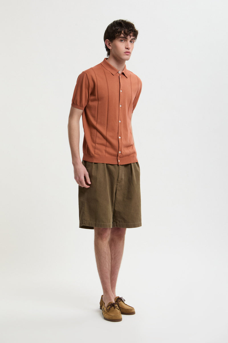 Polo Horatio
