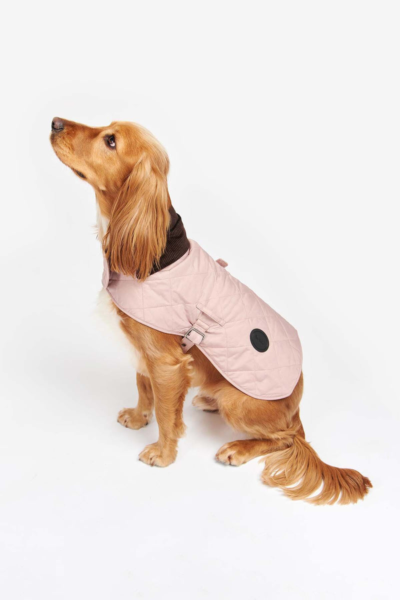 Cappotto trapuntato per cani