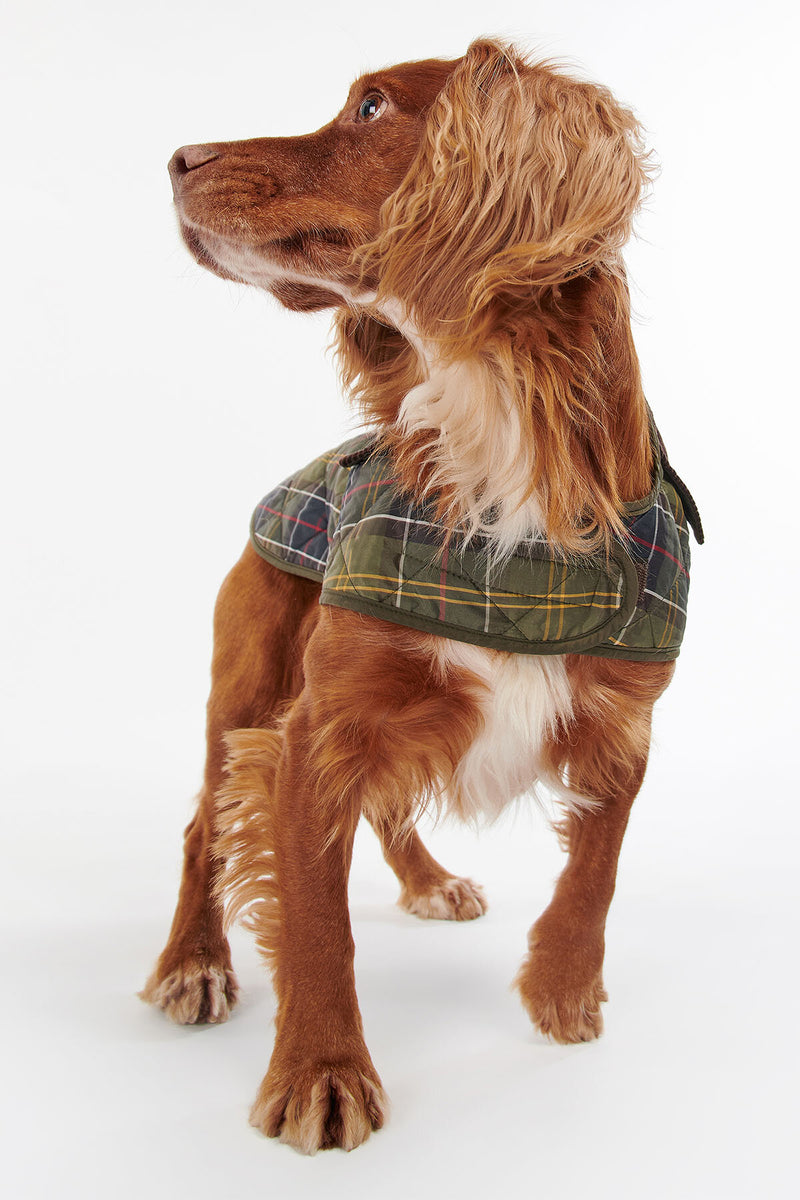 Cappottino per cani in tartan