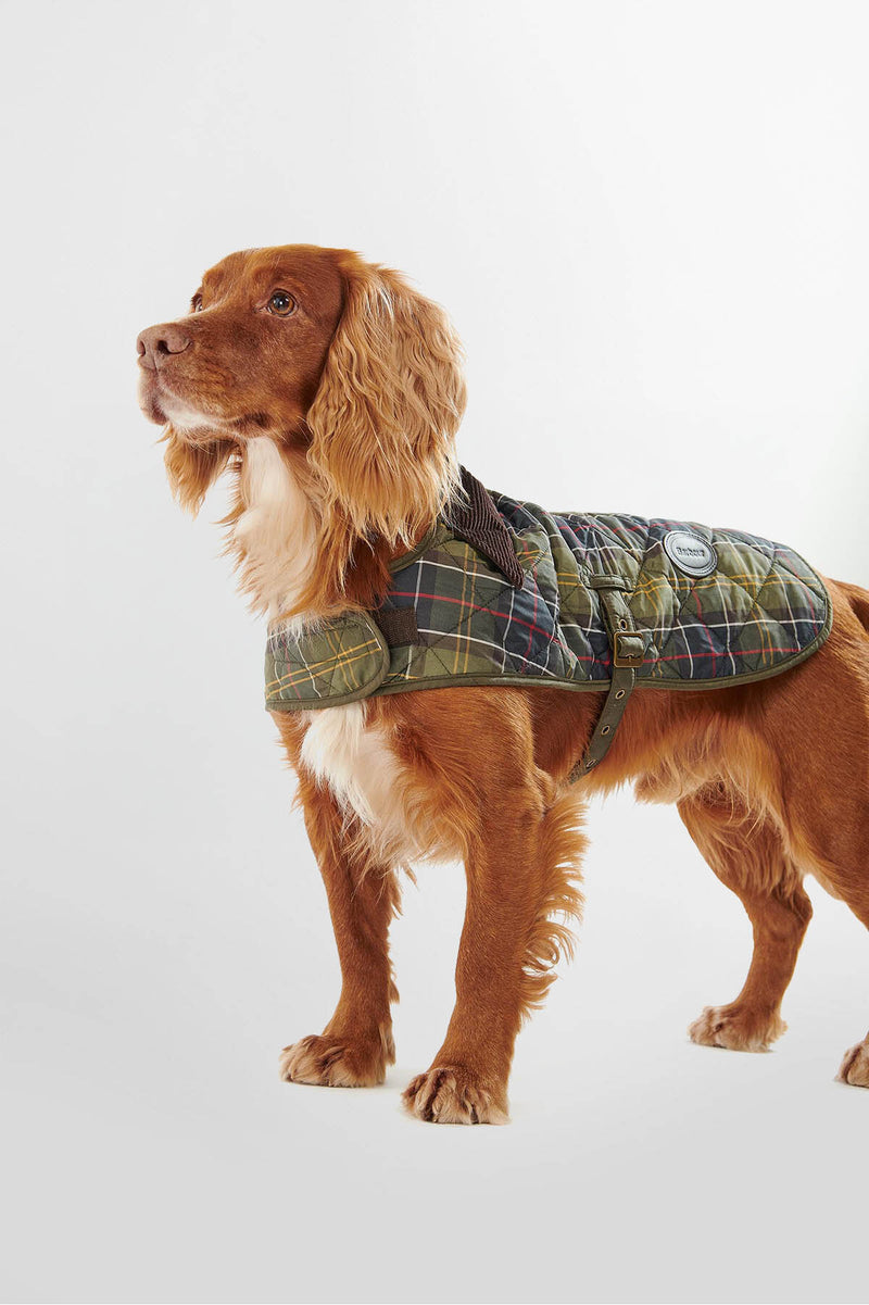Cappottino per cani in tartan