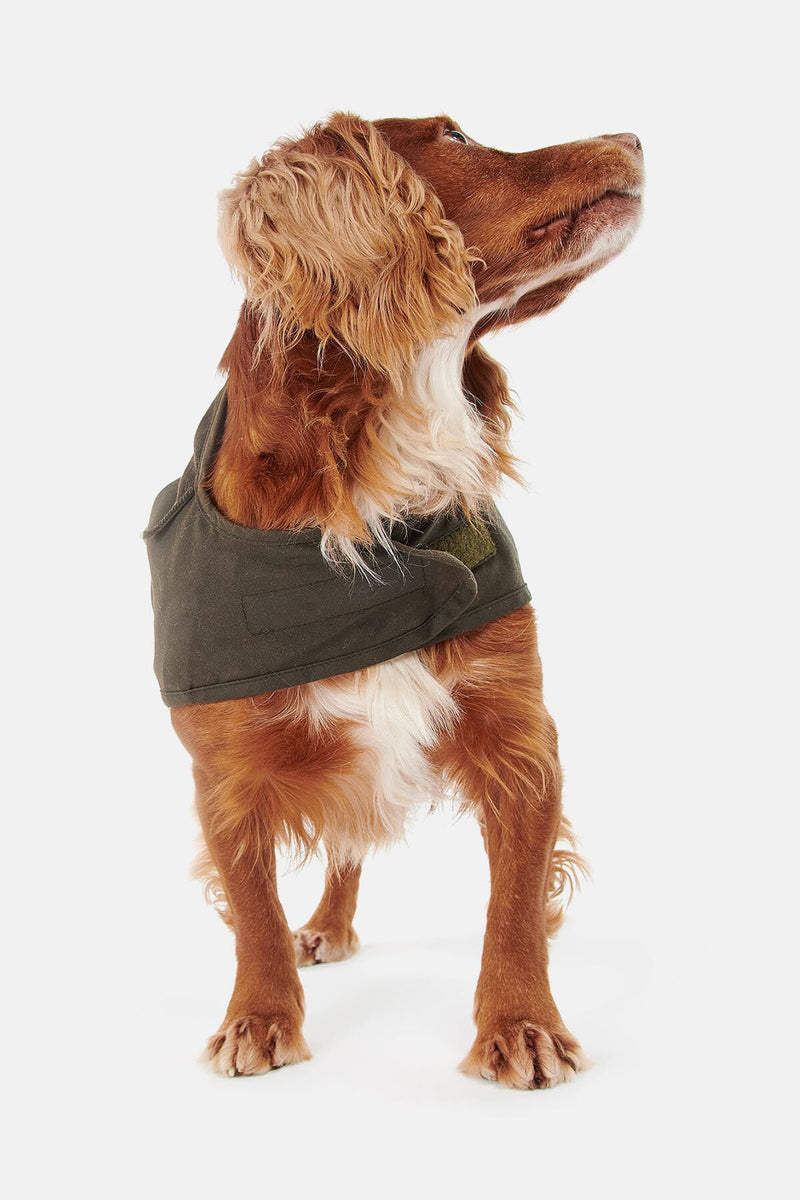 Cappotto per cani 2 in 1 cerato