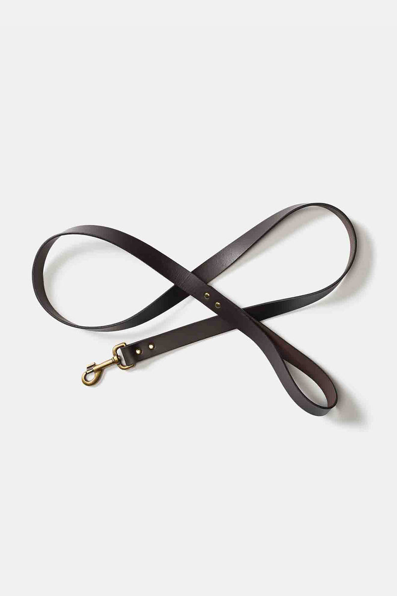 BRIDLE LEATHER DOG LEASH